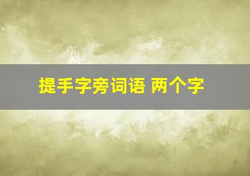 提手字旁词语 两个字